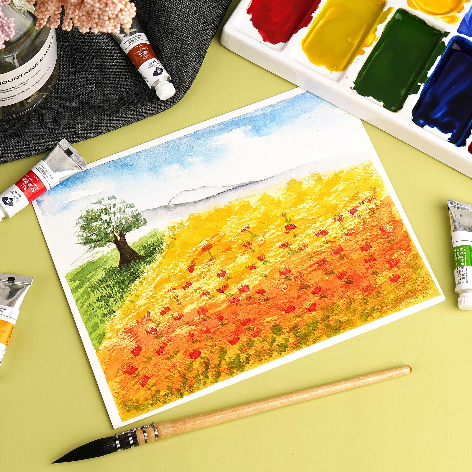 Paul Rubens Akwarela 36 kolorów x 5 ml Tuby Karolina Studenci Akwarela z pudełkiem do przechowywania, bogate pigmenty, dla studentów i początkujących, amatorów