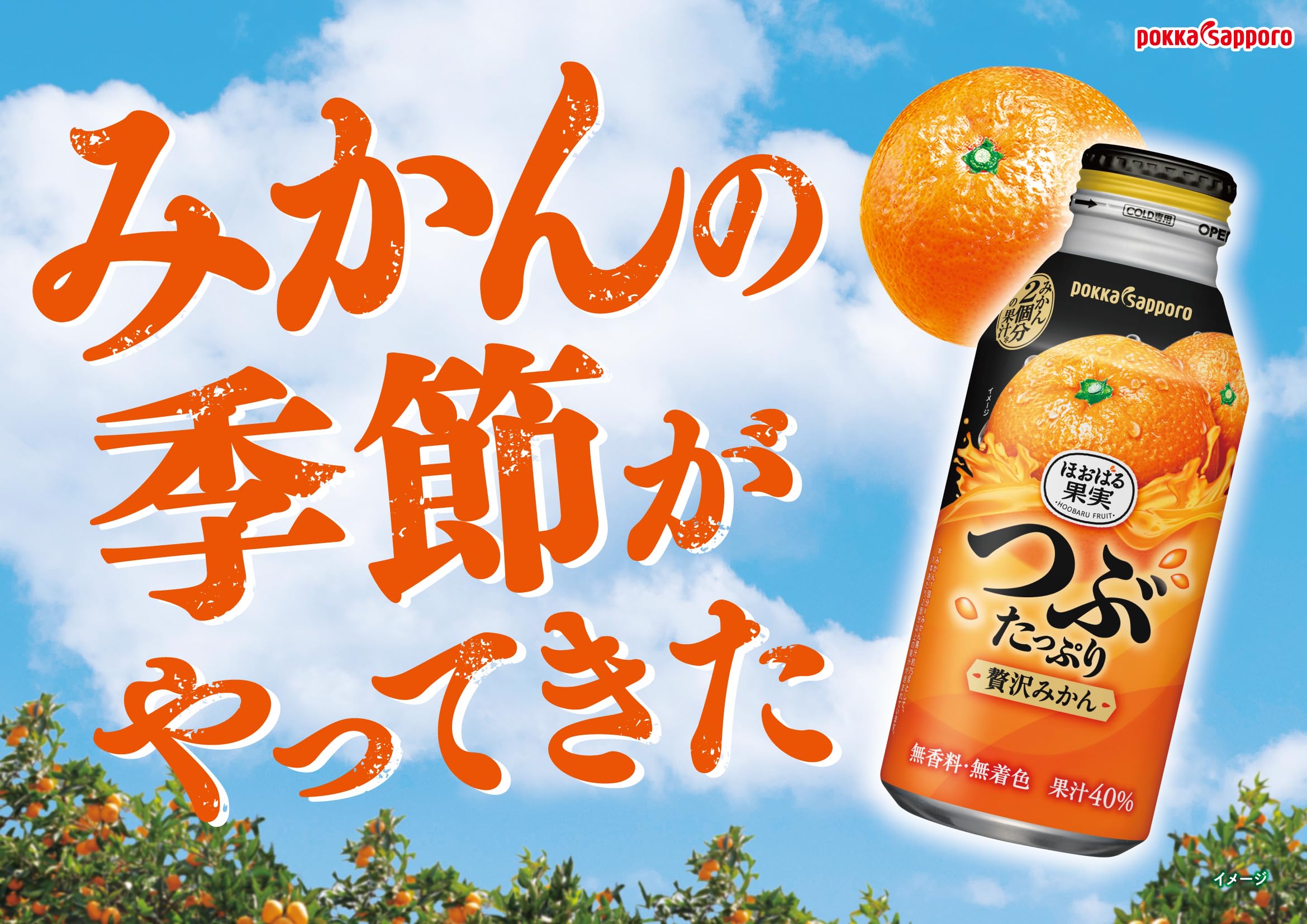 POKKA SAPPORO ポッカサッポロ つぶたっぷり贅沢みかん400g ボトル缶