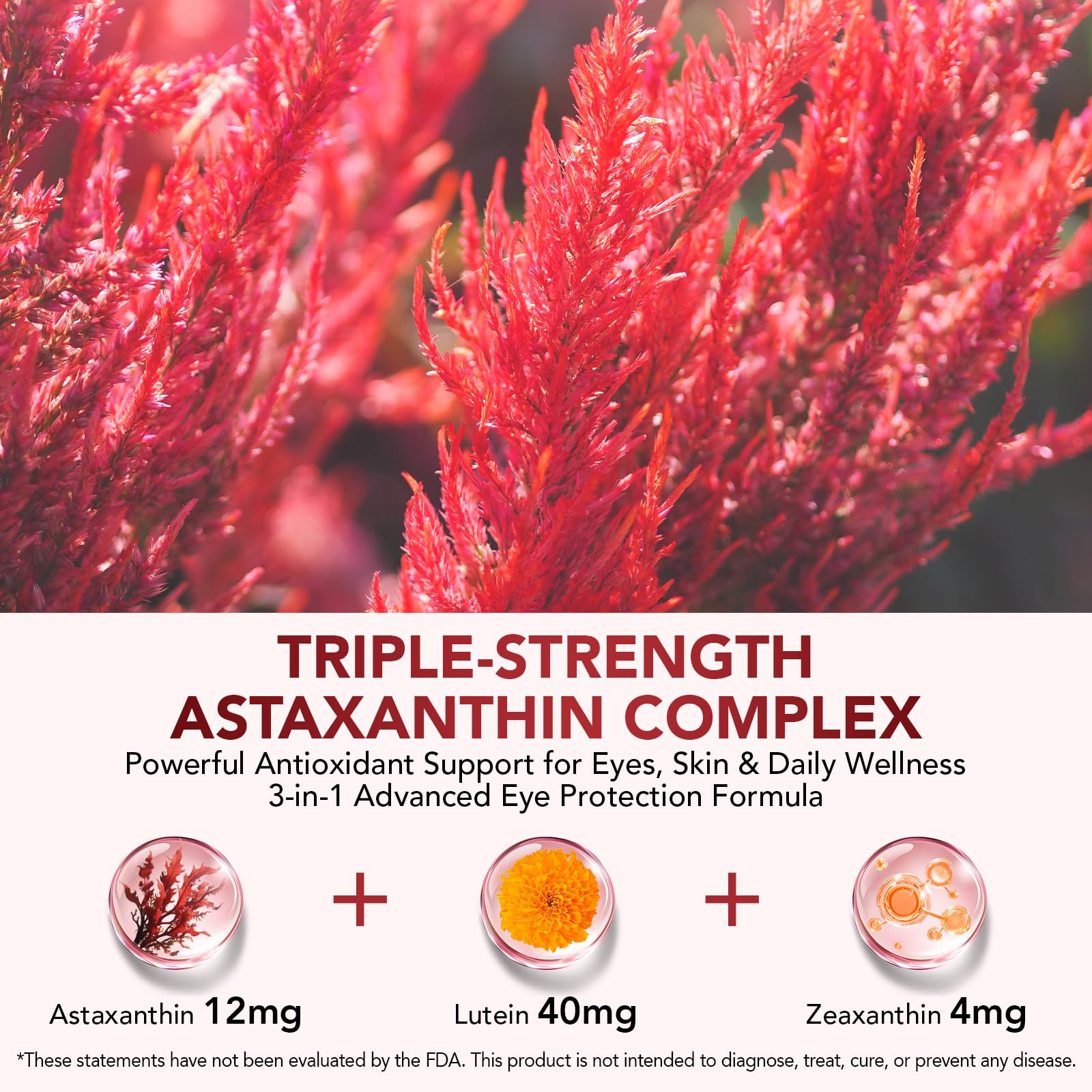 Astaxanthin 12mg & Lutein 40mg with Zeaxanthin Supplements, Fresh Microalgae Source, Supports Eye, Skin, Antioxidant, Joint, Circulatory Health, Gluten Free, 4 Month Supply | 120 Softgels — Amazon image 3