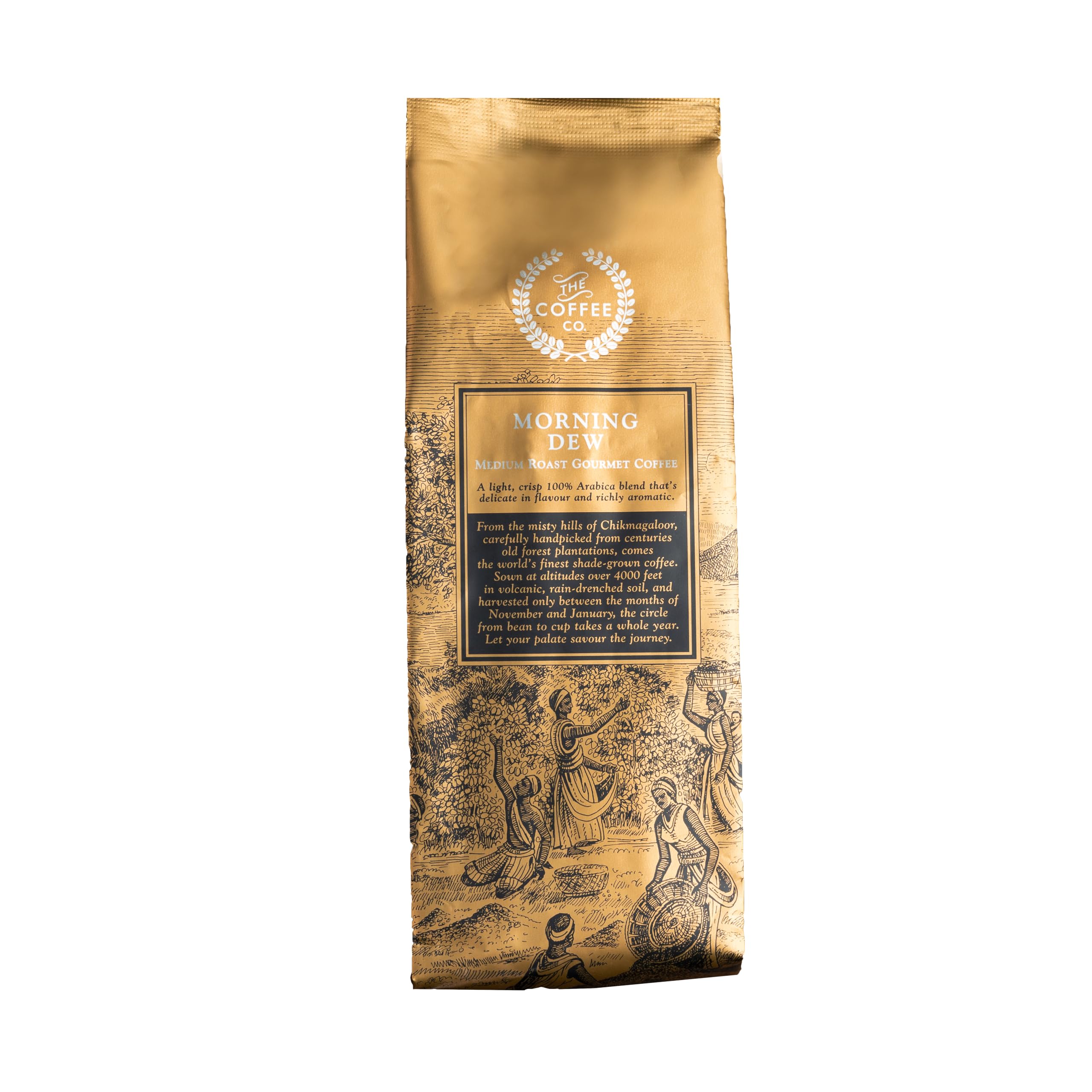 The Coffee Co. Morning Dew Ground Coffee | 100% Arabica | Medium Roast | Fine Grind | 250 gm