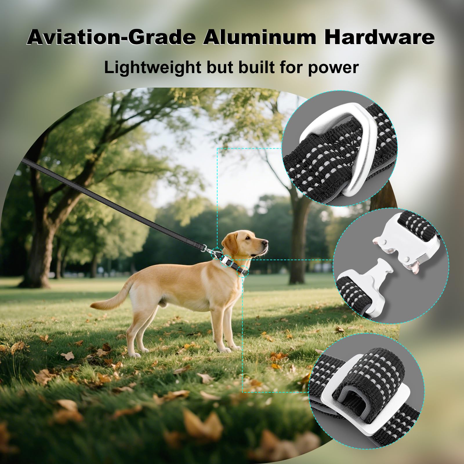 Plutus Pet Reflective Dog Collar with Aviation Aluminum Buckle, Neoprene Padded for comfort Lightweight - Image 3