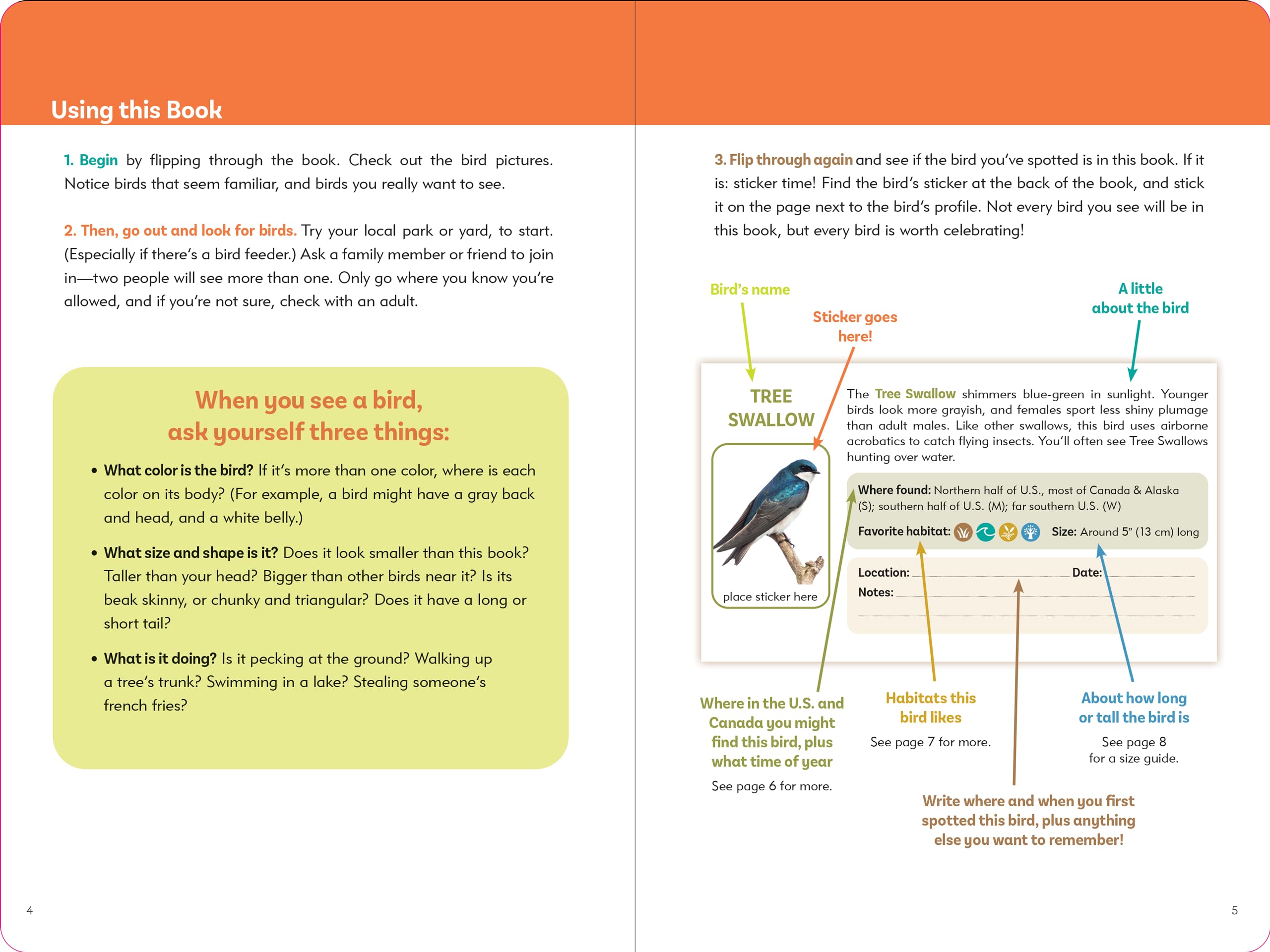 Birder's Logbook: A Seek-and-Sticker Book for Budding Ornithologists (comes with 100 full-color stickers of birds!) - Image 3