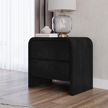 MODUS FURNITURE Elora Two Drawer Nightstand in Jet Black Ash