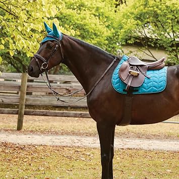 Collegiate Anatomic Girth, Brown, 50