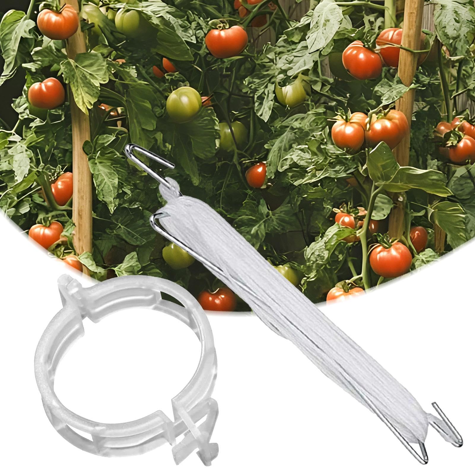 Pflanzenclips zur Unterstützung, Tomatenpflanzungs-Sets, multifunktionale Befestigung, Veredelungsklemme für Zuhause, Garten, Gewächshaus, professioneller Bauernhof