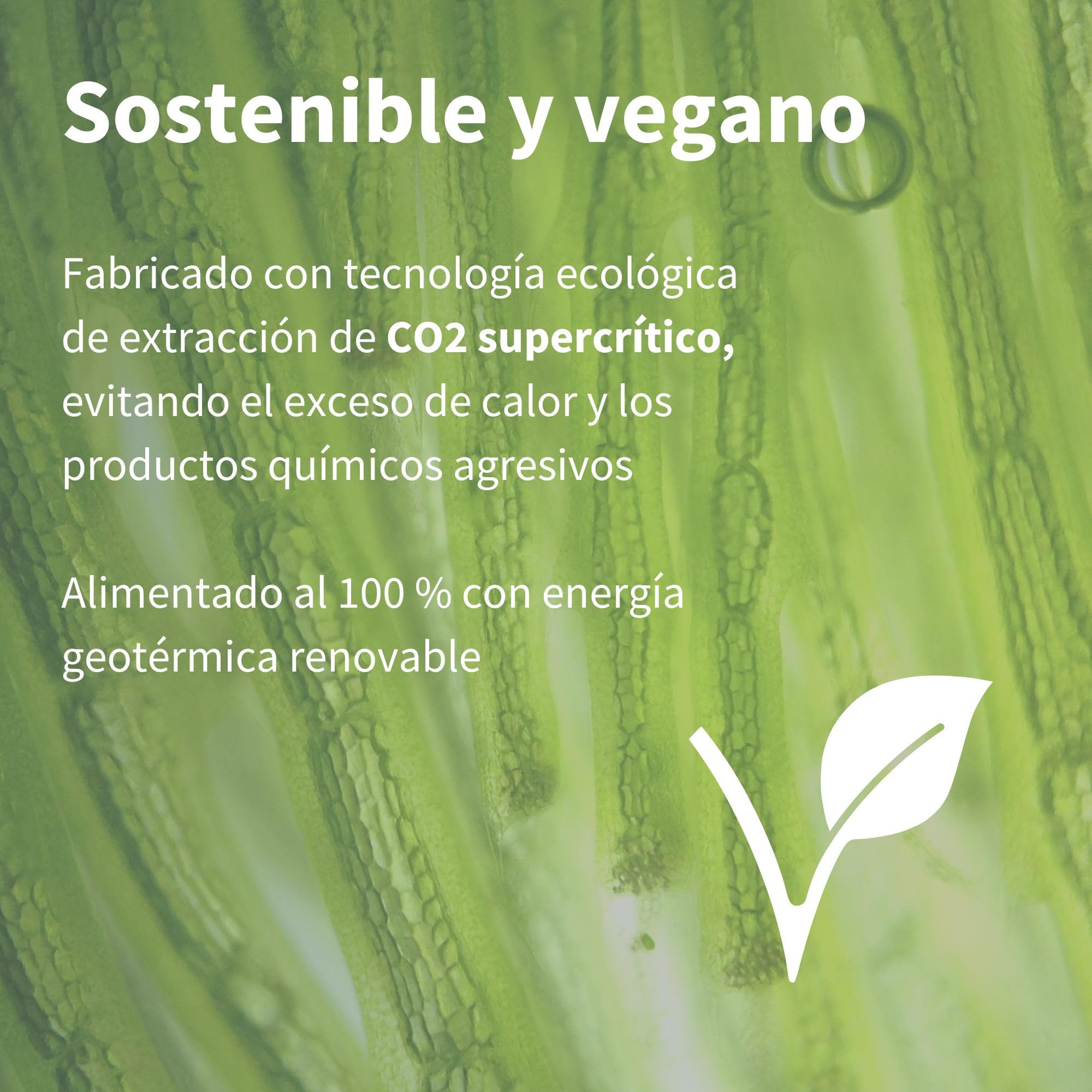 Igennus Astaxantina Natural 4mg, Potente Antioxidante, 90 Cápsulas 1 al Día, Alta Pureza de Microalgas H. Pluvialis, Origen Controlado, Ingredientes Puros, Suplemento Vegano