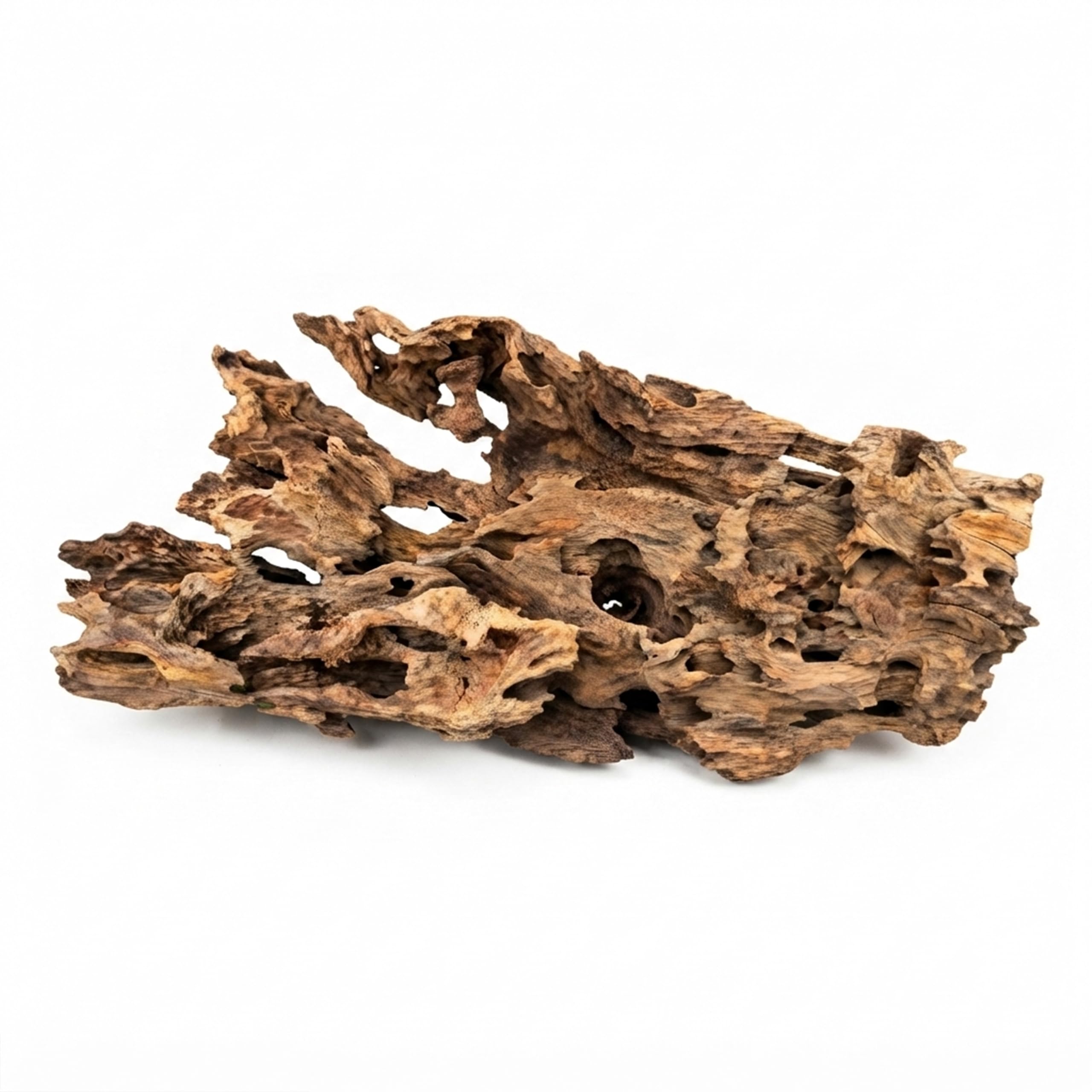 VIRS PRO Premium Dragon Wood for Aquariums & Aquascaping – Natural Honeycomb Driftwood Hardscape, Hollow Root Wood for Shrimp, Fish Tank, Reptiles and Terrarium Decor 30 cm - 40 cm