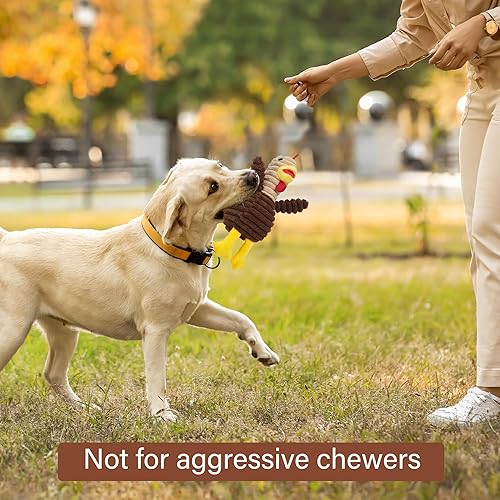 Miniatura 6 de Prime Pets Dog Toys, 5 Pack, Plush Dog Squeaky Toys, Assortment Value Bundle Animal Pet Toy for Small Medium Large Dogs, Stuffed Puppy Chew Toy