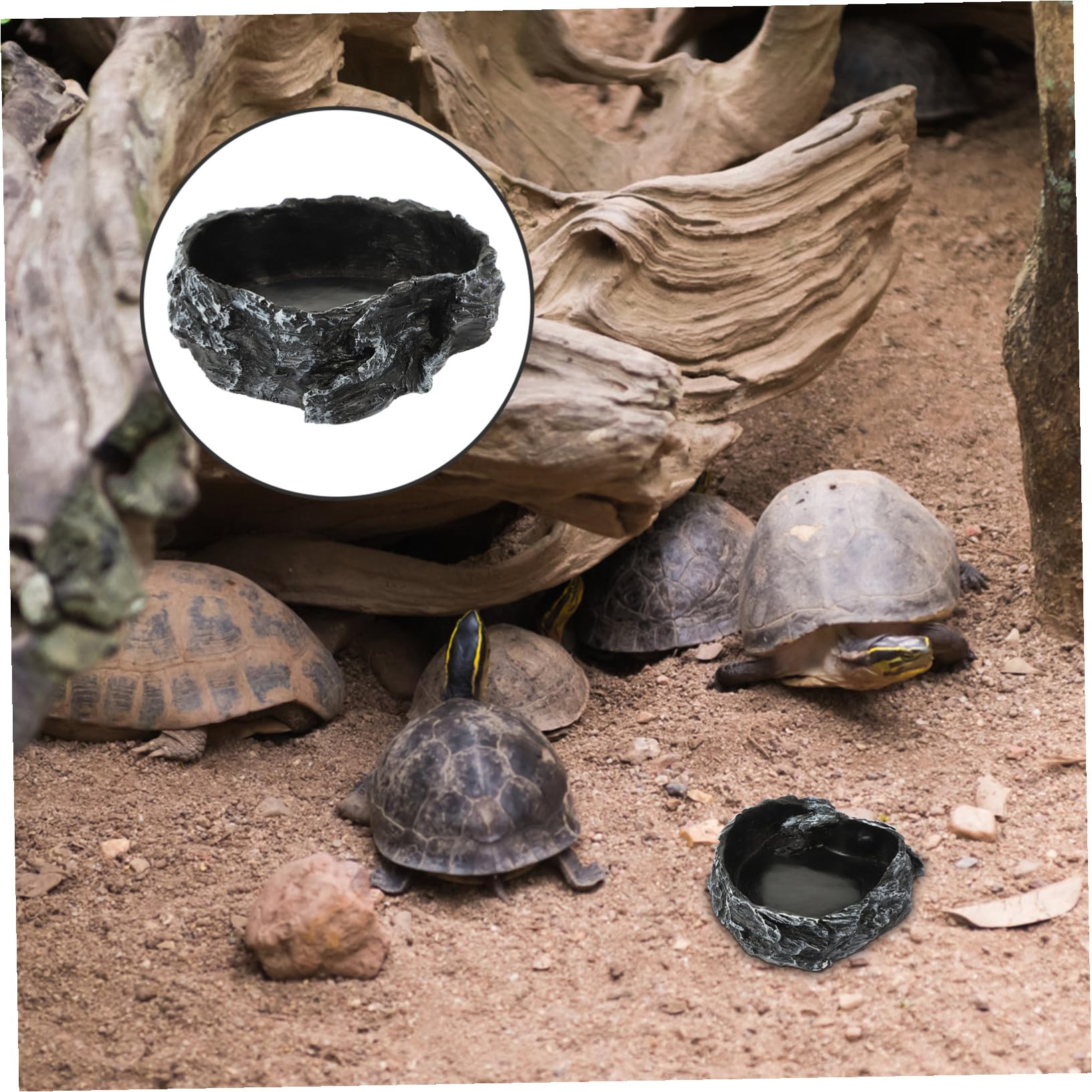 Ciotola Acqua Rettili Decorativa Antiribaltamento per Lucertole Tartarughe e Piccoli Rettili Alimentatore Stabile e Facile da Pulire per Terrario
