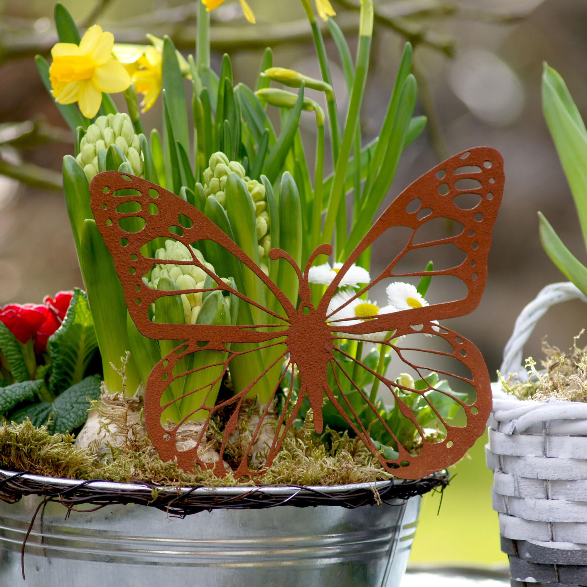 Decoration Exterieur En Fer Forge