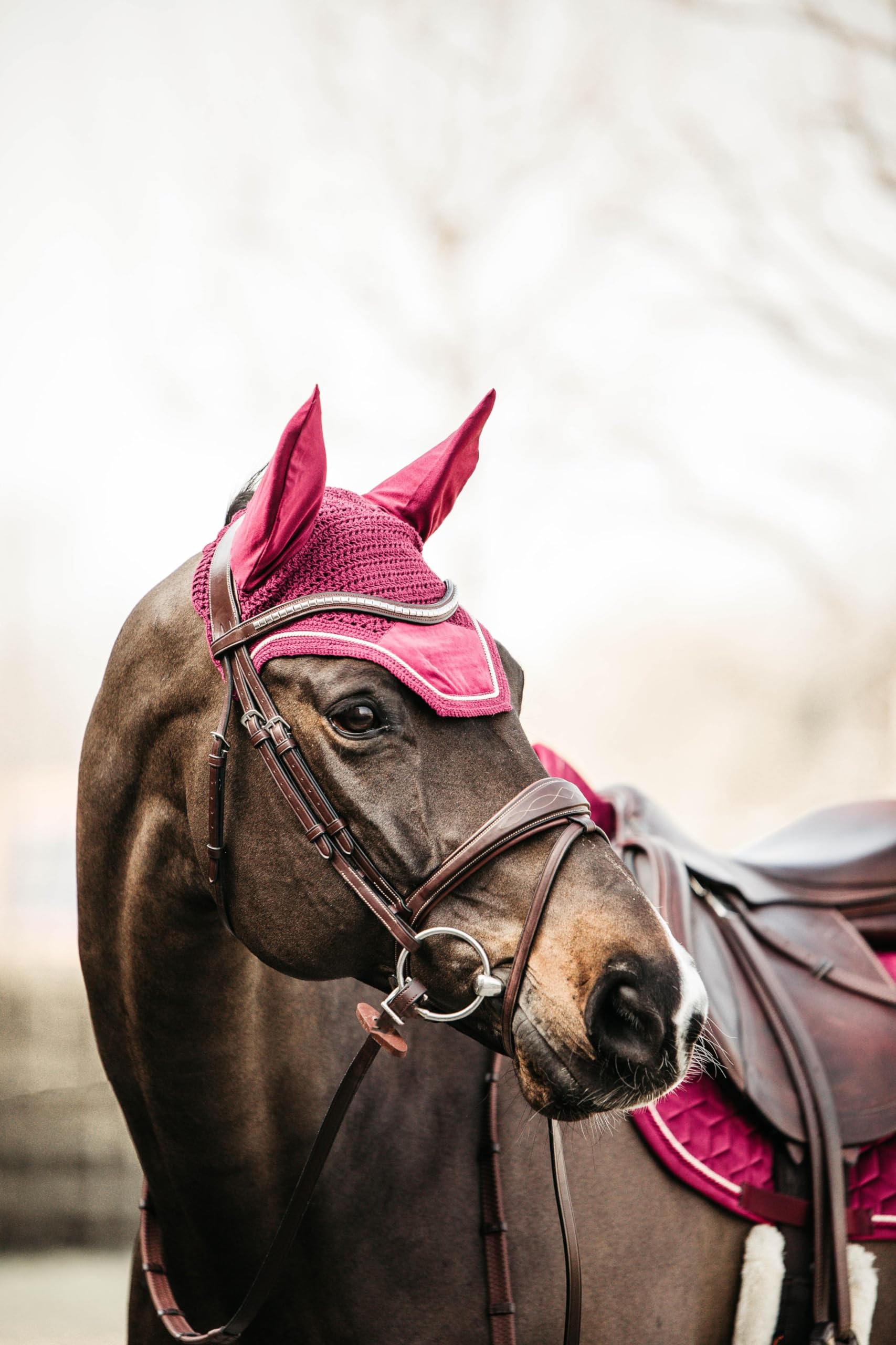 KENTUCKY HORSEWEAR Cappello antimosca cavallo Wellington Velvet