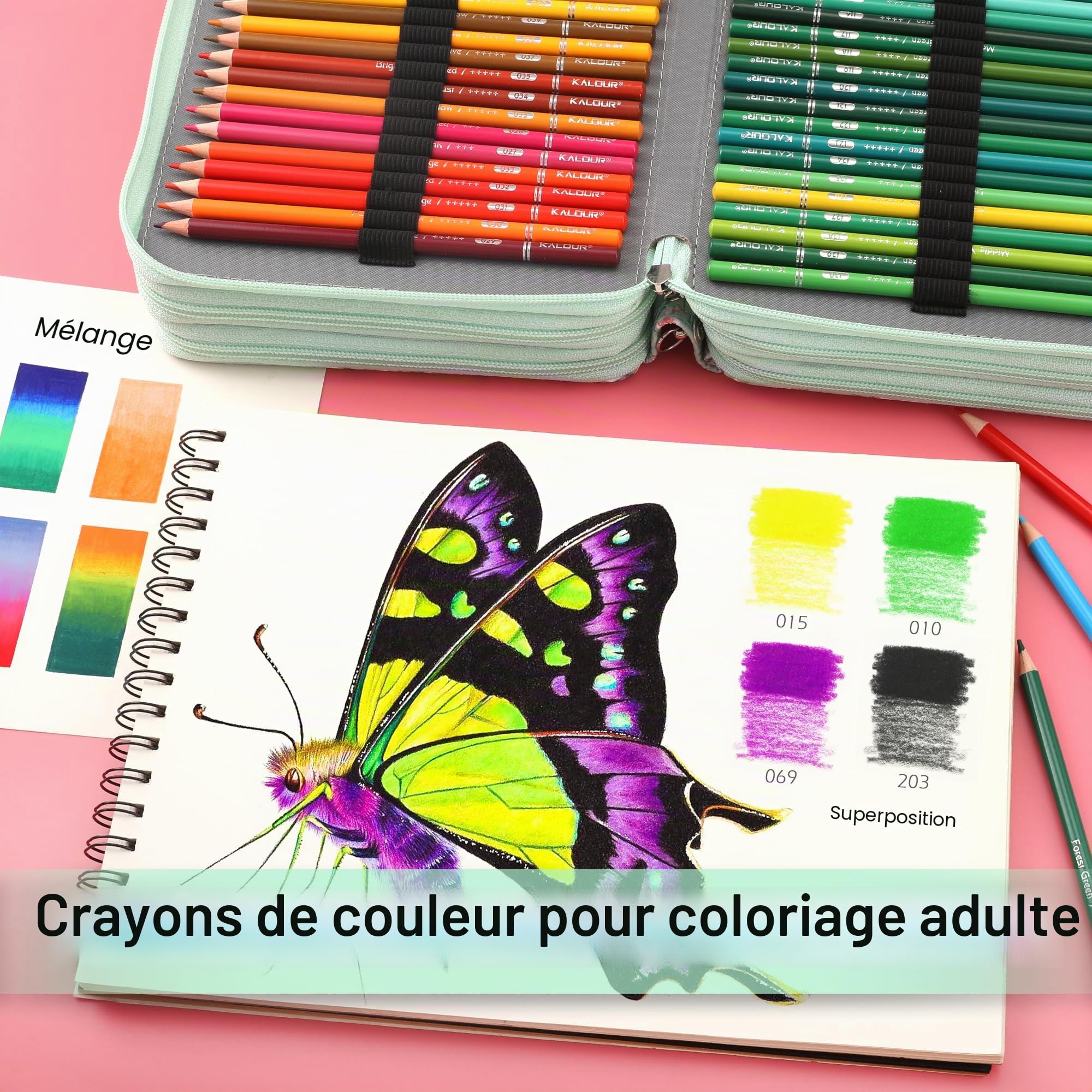 KALOUR Lot de 256 crayons de couleur pour adultes, crayons à noyau doux pour dessiner des nuances, cadeau pour adultes, artistes débutants