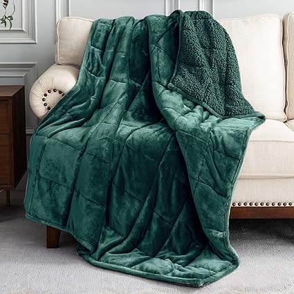 Uttermara Weighted Blanket for Adults, Queen Size Heavy Blanket with Reversible Soft Shiny Velour Fleece and Cozy Warm Sherpa for Couch Bed, Calming and Relaxing, 60 x 80 inches 20 lbs in Green