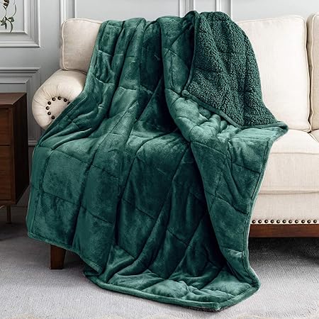Uttermara Weighted Blanket for Adults, Queen Size Heavy Blanket with Reversible Soft Shiny Velour Fleece and Cozy Warm Sherpa for Couch Bed, Calming and Relaxing, 60 x 80 inches 20 lbs in Green