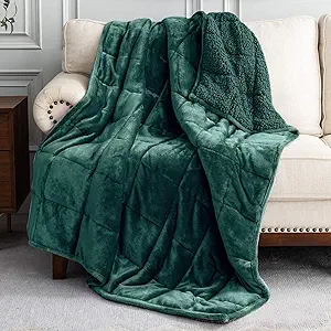 Uttermara Weighted Blanket for Adults, Queen Size Heavy Blanket with Reversible Soft Shiny Velour Fleece and Cozy Warm Sherpa for Couch Bed, Calming and Relaxing, 60 x 80 inches 20 lbs in Green