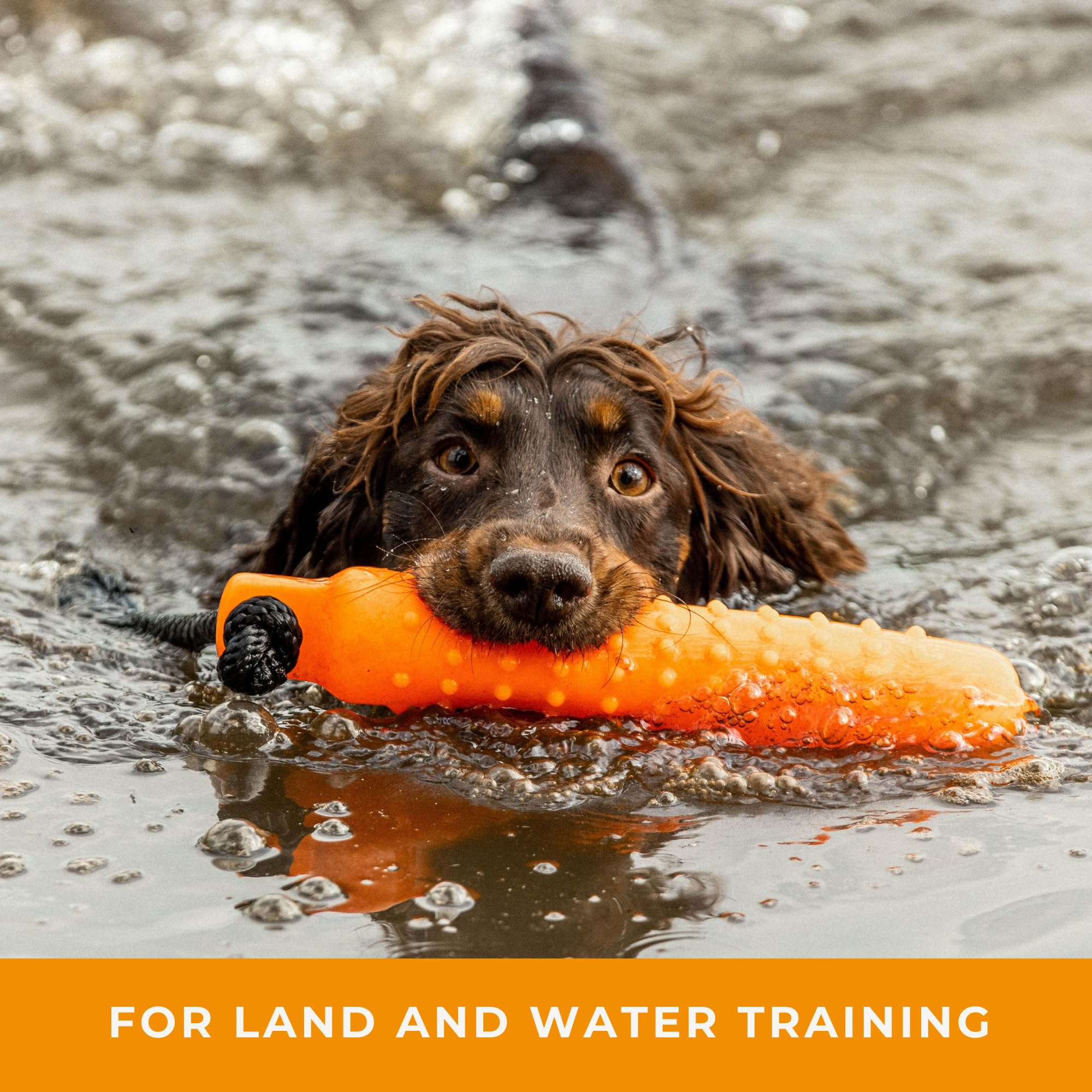 Dog & Field Gundog Water Dummy Jouet flottant pour chien avec cordon de lancement Orange Grande taille Flotteur d'eau en caoutchouc pour entraînement et récupération