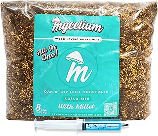 Mycelium Mushroom Growing Kit, King Oyster Gourmet I Oak & Soy Hull Subs...