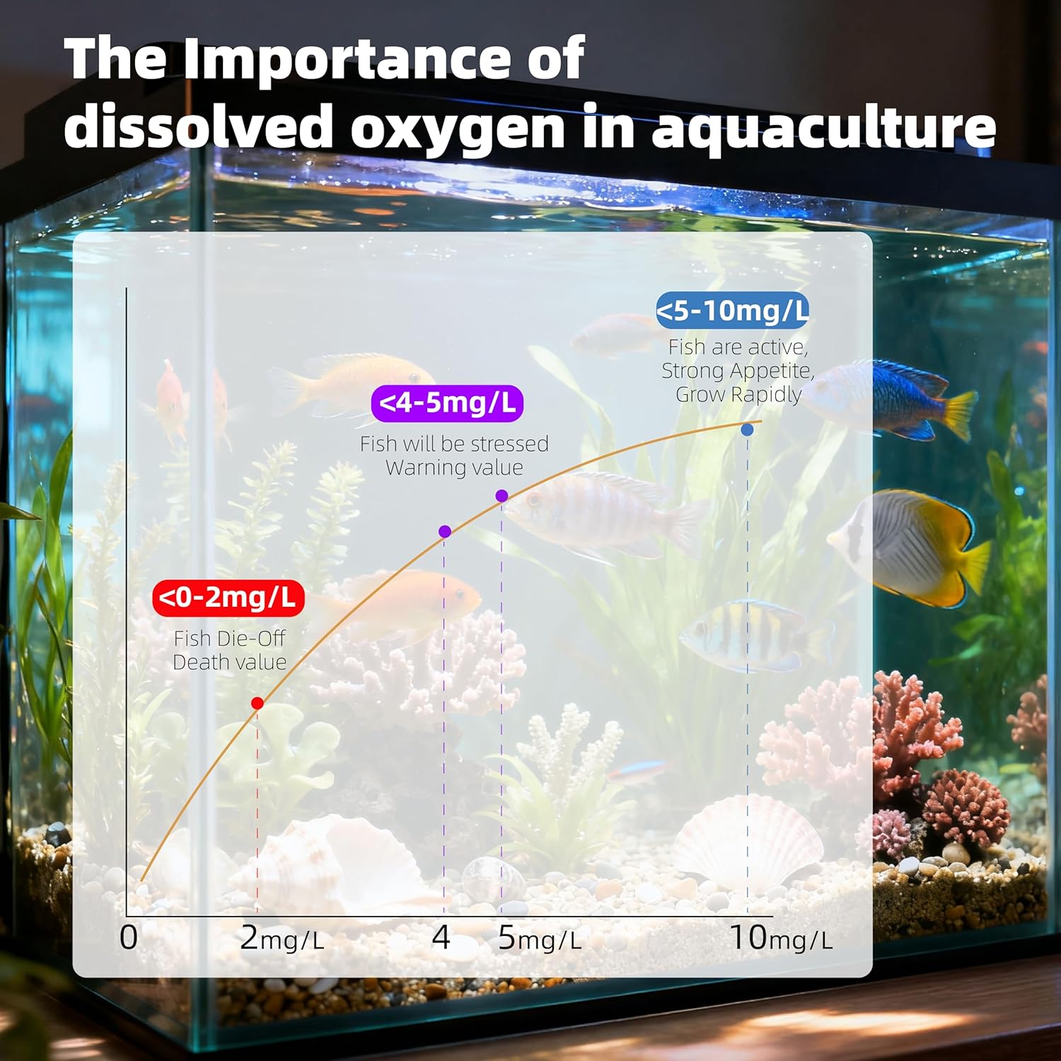 DO210E Portable Dissolved Oxygen Meter with ATC, 0.00–20.00 mg/L, 0.01 mg/L Resolution, ±1.5% FS Accuracy, Auto-Hold, IP65, 3.5″ LCD