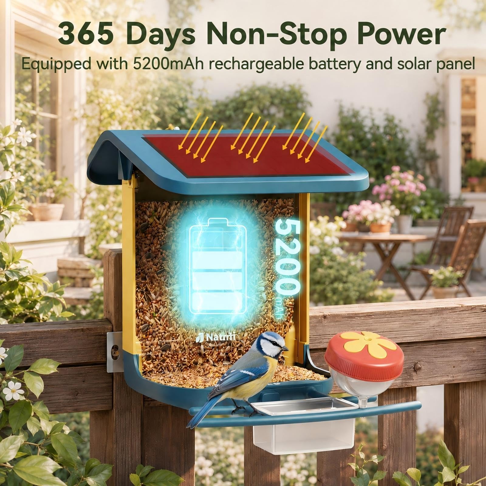 Comedero para pájaros con cámara alimentada por energía solar, 2K HD Live, AI Bird ID 1.8L
