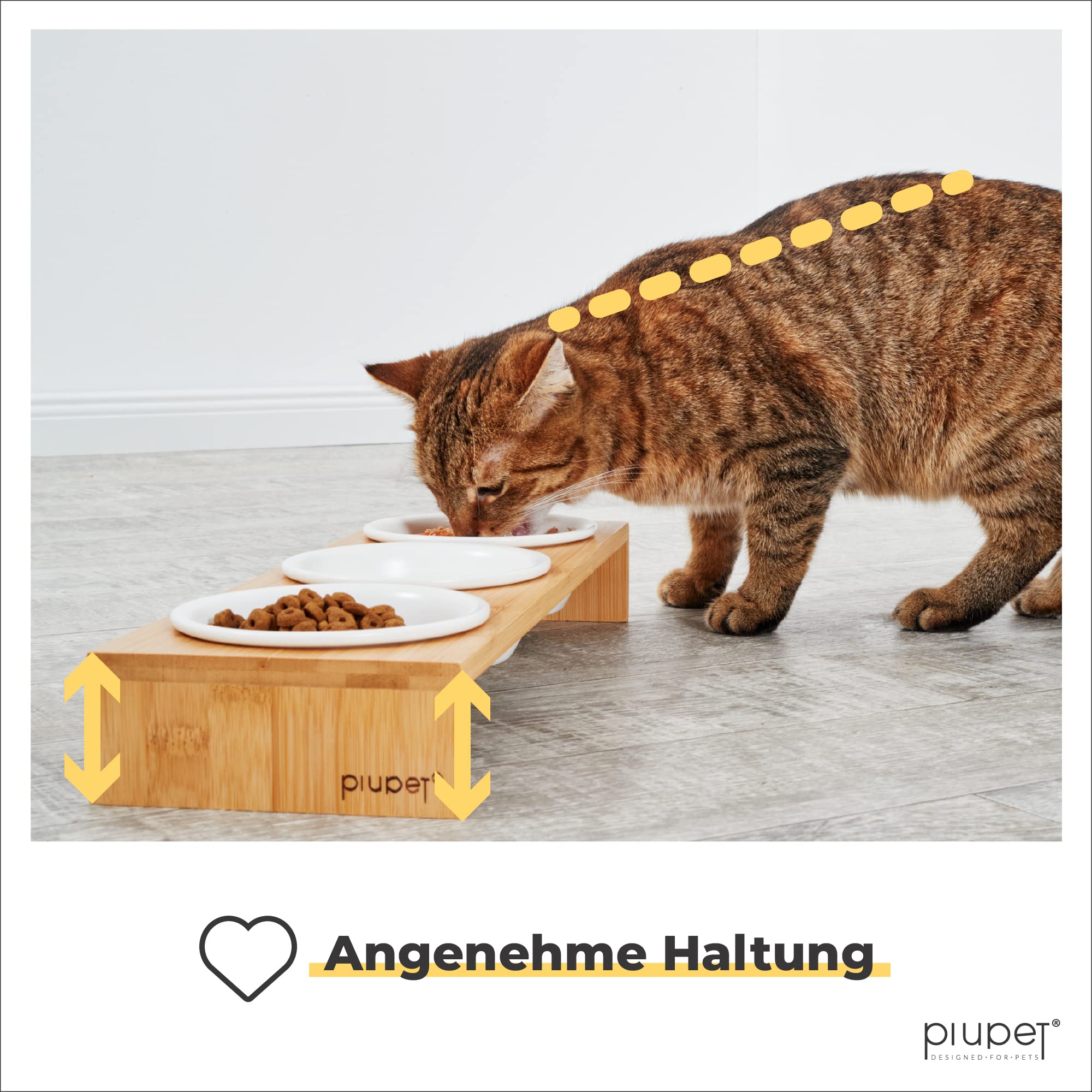 PIUPET 3er Katzennapf Set - Keramikfressnäpfe Katzen mit Napferhöhung aus Bambus - 250ml Futternapf Katze | Katzennapf Erhöht | Katzen Napf