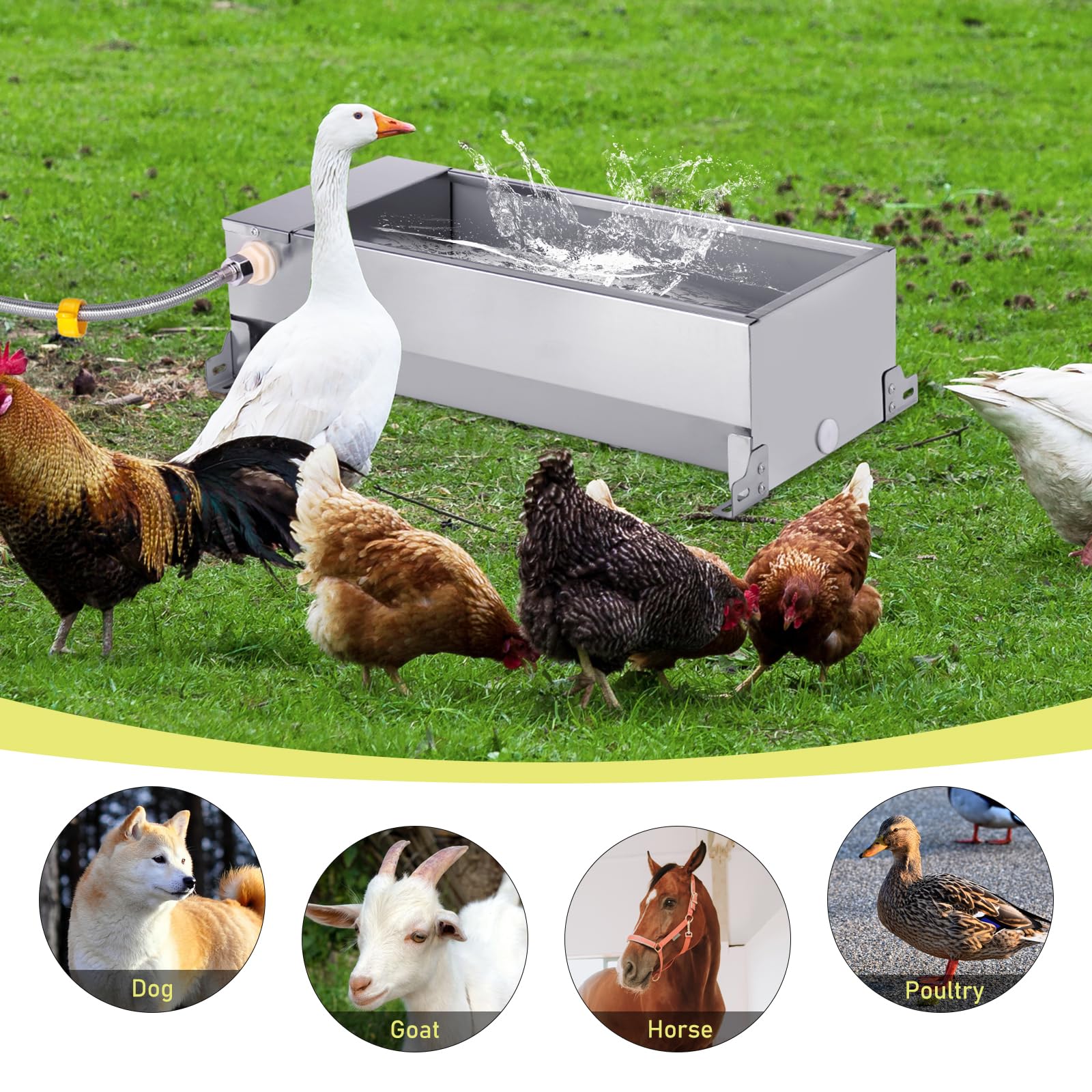 Abbeveratoio Automatico per Cani, Abbeveratoio per Cani in Acciaio Inox di Grande Capacità con Tubo Flessibile Intrecciato e Connettore, per Polli, Oche, Anatre, Ecc.