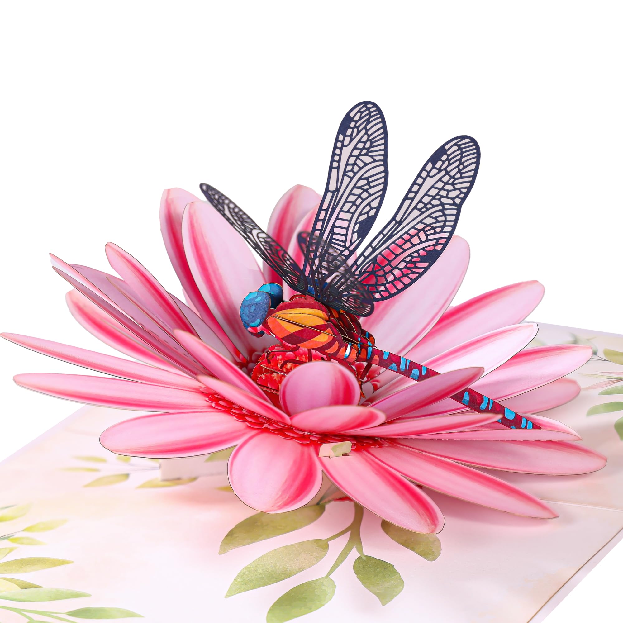 Pop Up Birthday Card for Women, Dragonfly&Gerbera Daisies Flower 3D Card, Ideal Gift for Birthday, Mother’s Day, Valentines, Thank You, All Occasion for Her, Wife, Mom, Grandma, Sister, Daughter