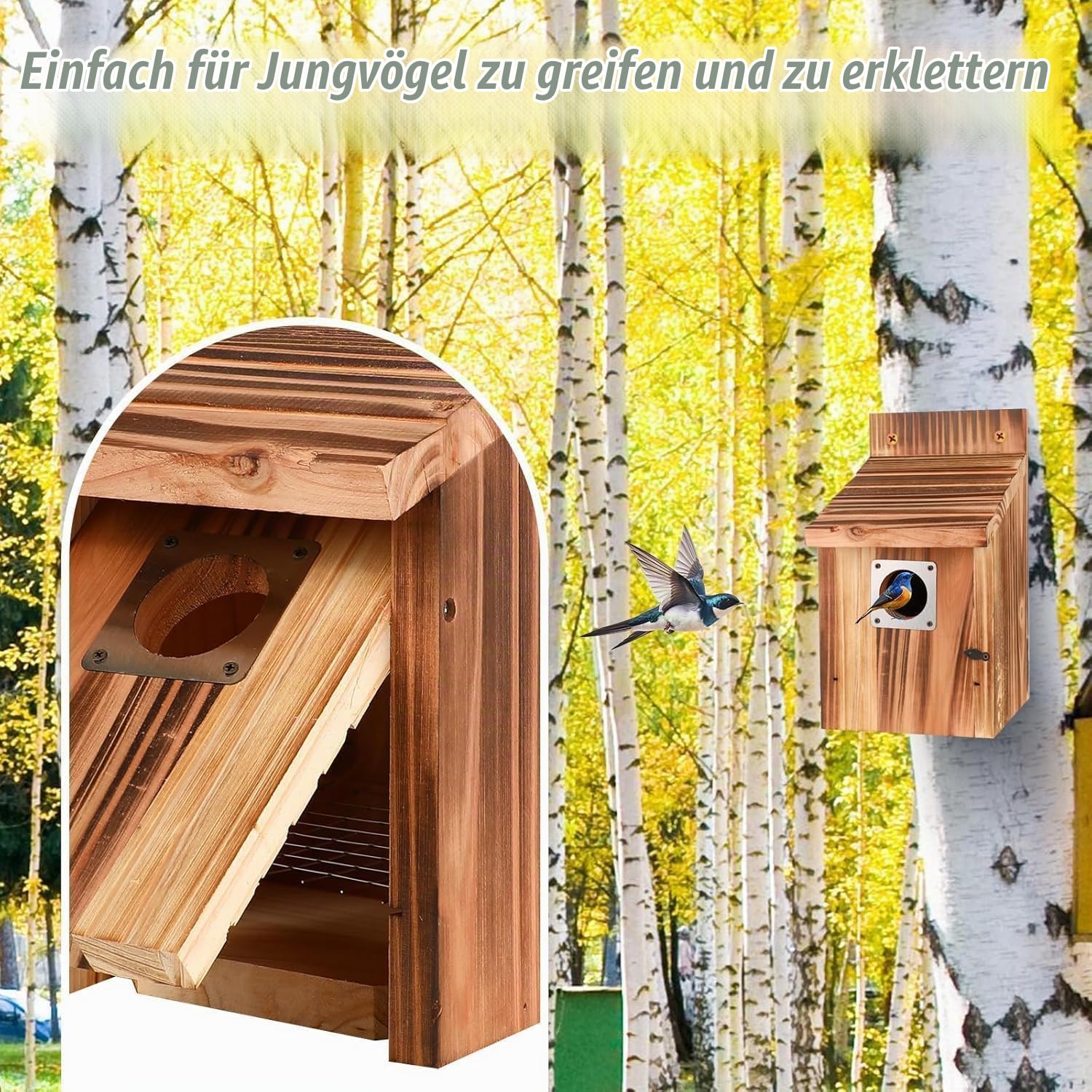 4 Stück Nistkasten für draußen wetterfest, Vogelhäuser mit Metallschutz, Sicherheitsschlössern, Flugschlitzen & Belüftung, 3,8cm Eingang