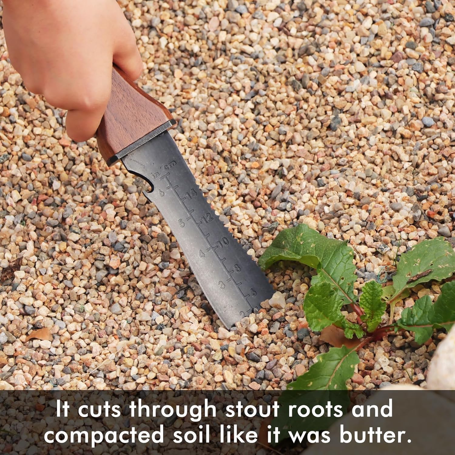 Restmo Hori Hori Garden Knife with Sheath, Durable Weeding and Planting Tool, High-Strength Stainless Steel Dual-Edge Blade, Ergonomic Walnut Handle for Gardening and Outdoor Use