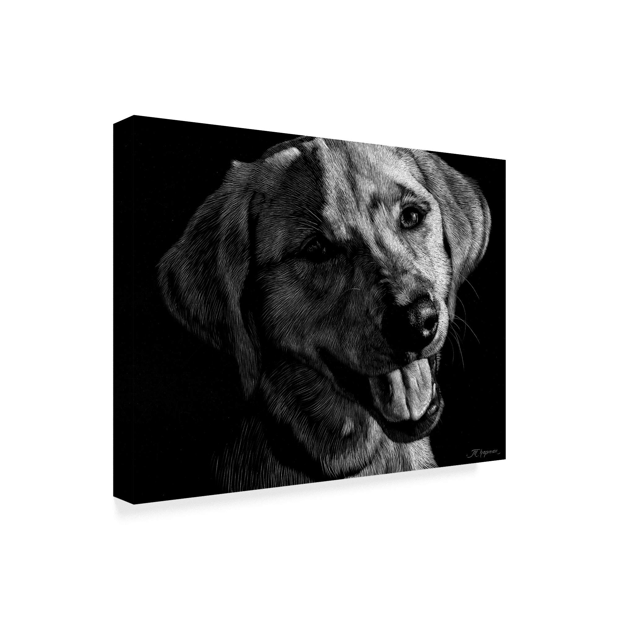 Amazon｜Trademark Fine Art 18x24インチ 犬のスクラッチボード