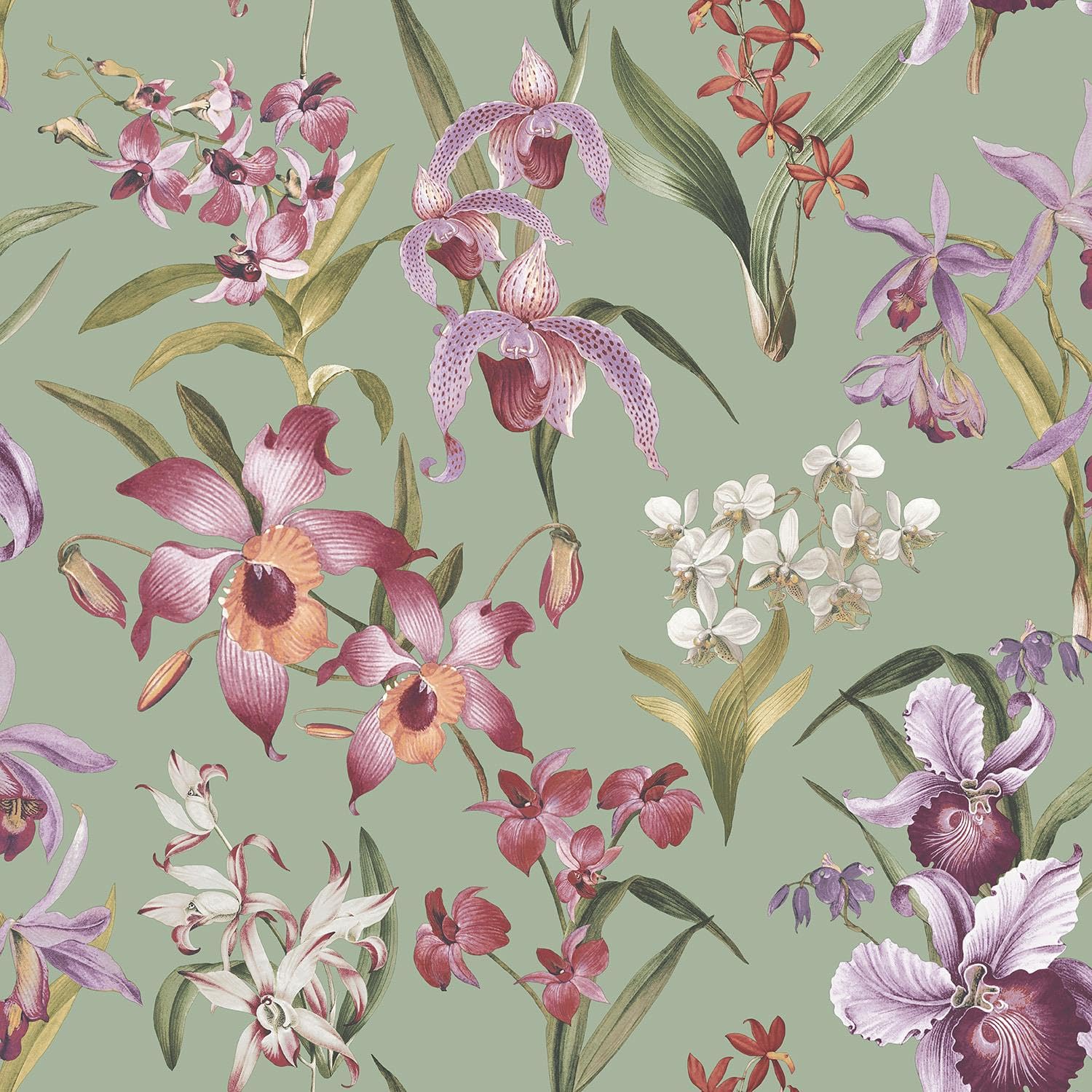 Yöl Sage Green Maya Floral Wallpaper - Vibrant Colourful Naturistic Blossoming - Modern Contemporary Feature Wall