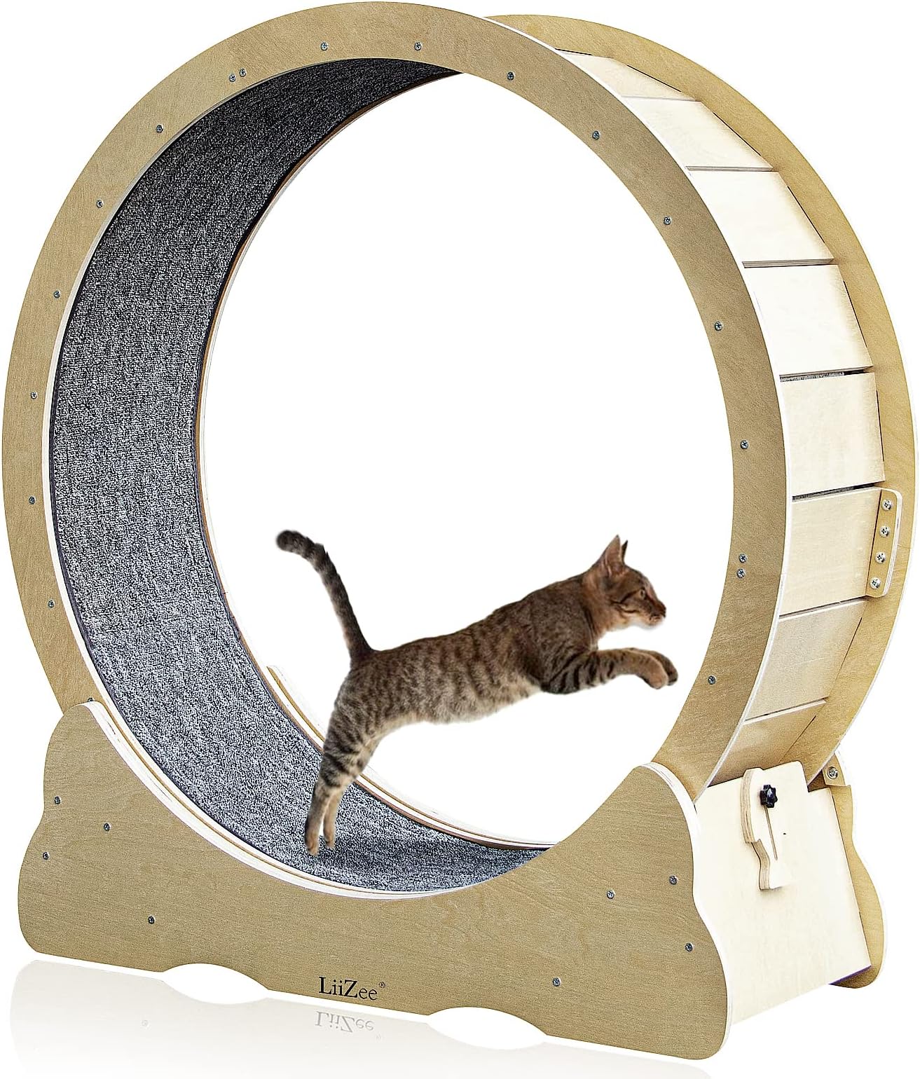 LiiZeeCat Exercise Wheel for Indoor Cats, 39.4" Diameter Running Wheel, Sturdy Treadmill With Locking Mechanism, Stable & Quiet for Cat's Health