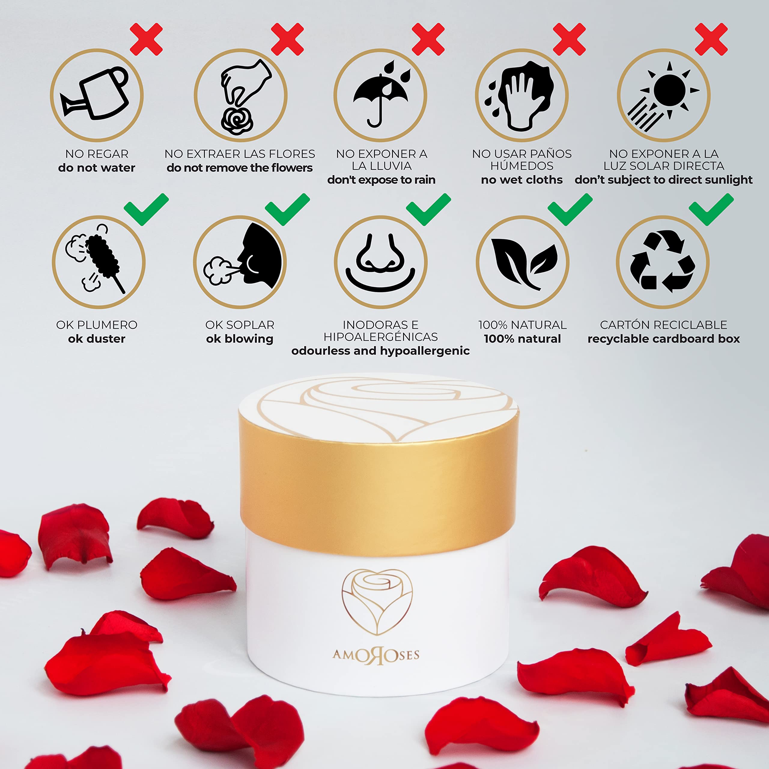 Amoroses Petite - Caja de Regalo 5 Rosas Eternas Estabilizadas - Elegante Ramo de Flores Reales | Idea de regalo (Petite Caja Blanca con Rosas Rojas)