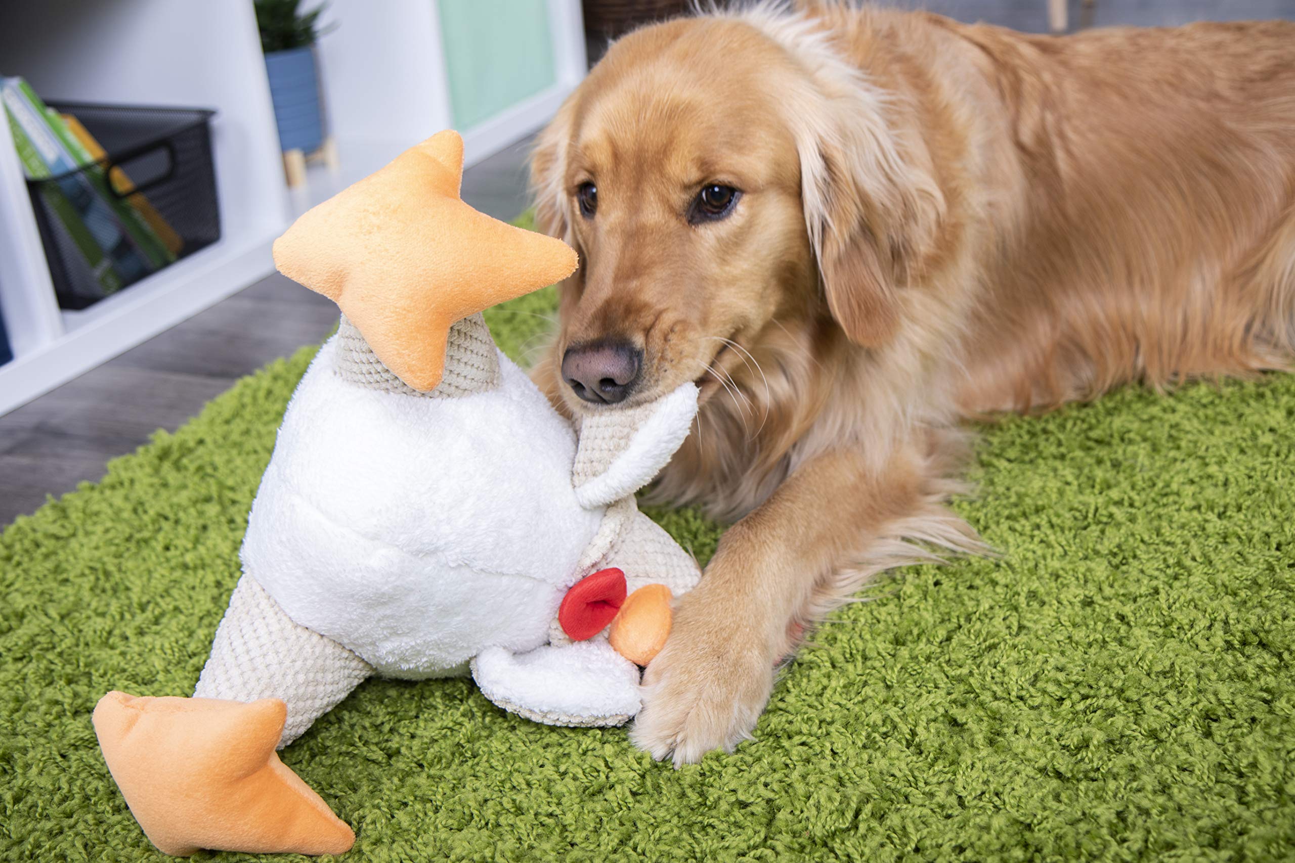 rooster dog toy squeaker