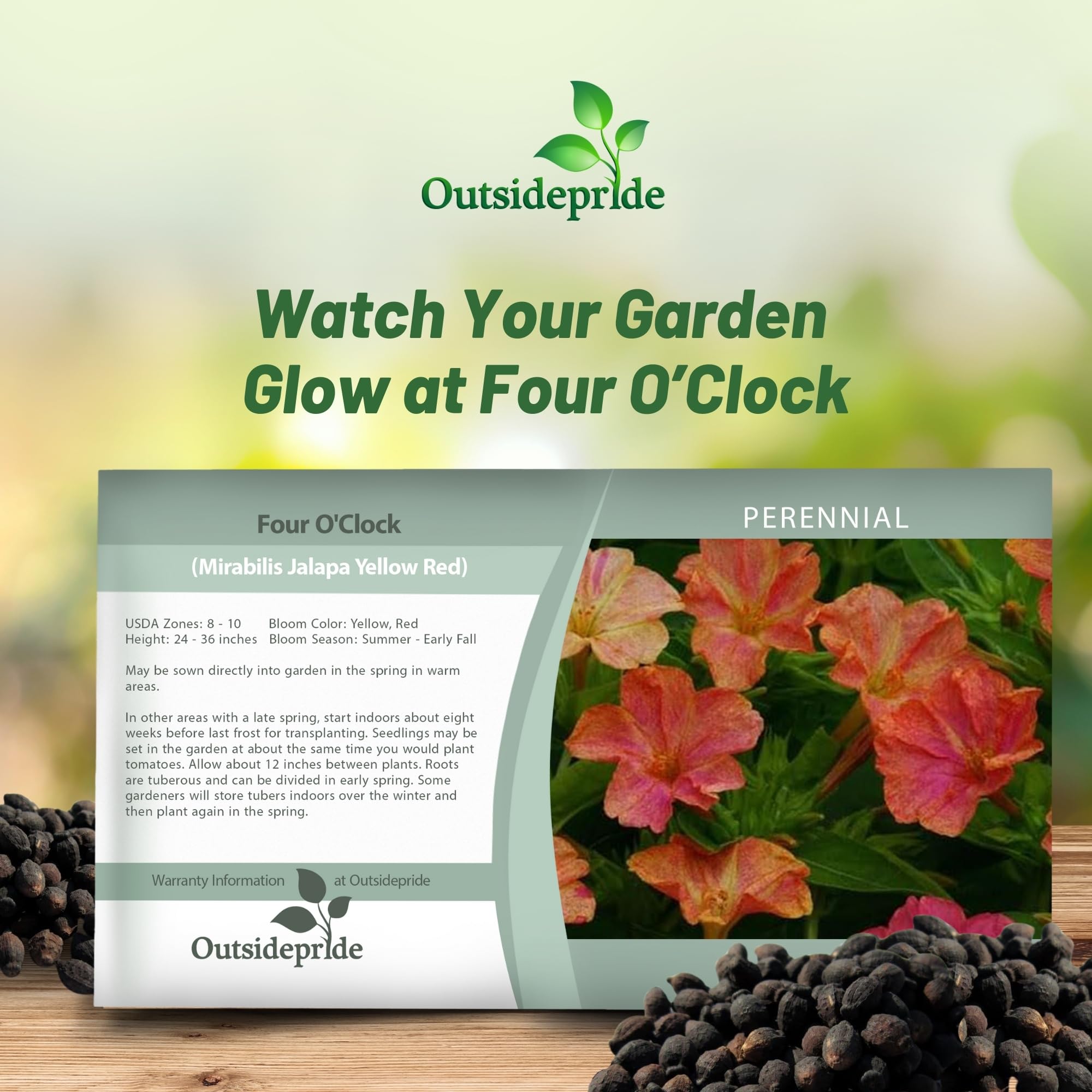 Amazon.com : Outsidepride Marbles Yellow Red Four O'clock Flower