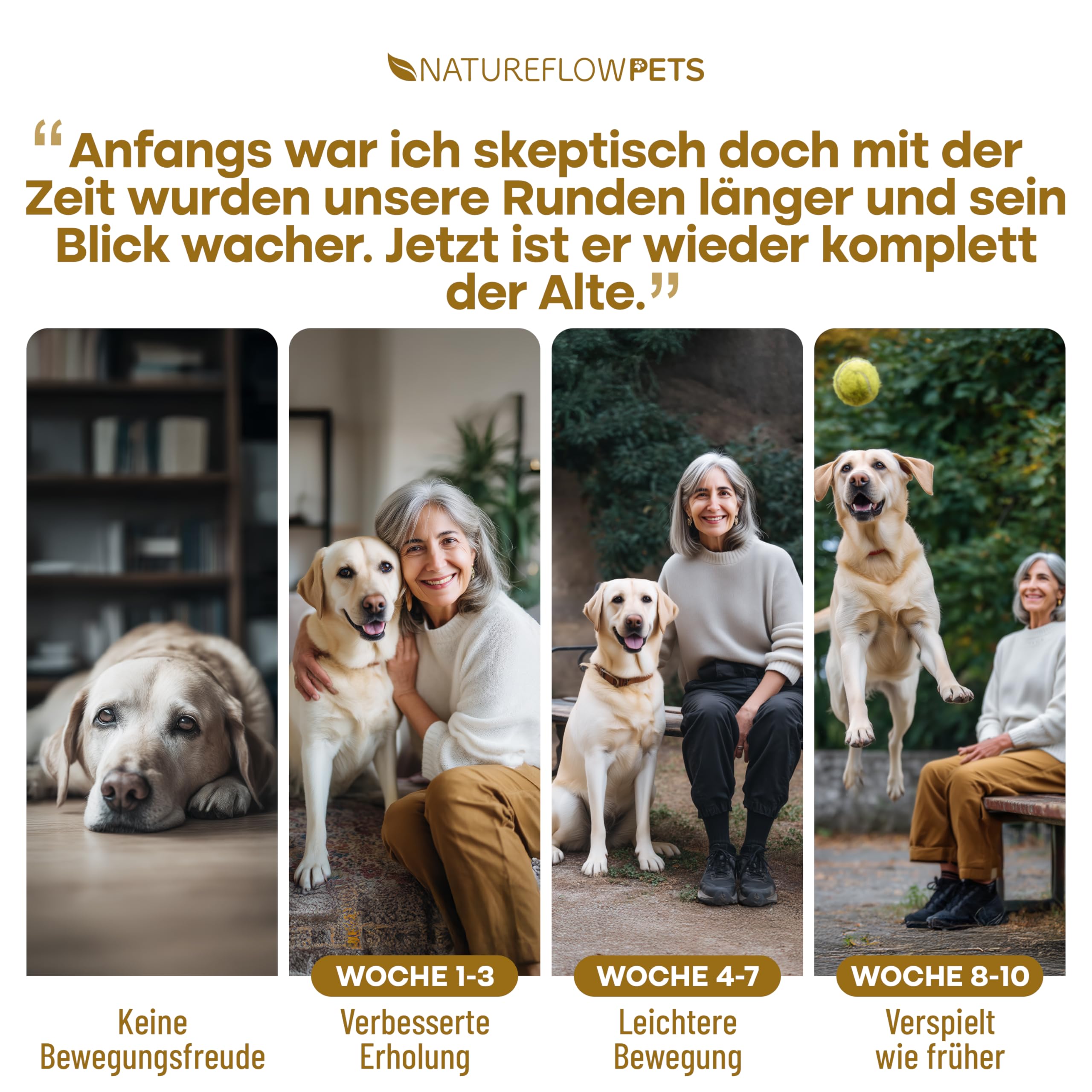 Gelenktabletten Hunde – Test SEHR GUT Made in Germany mit Grünlippmuschel, MSM und Teufelskralle - Keine Kapseln, hohe Akzeptanz Gelenktabletten Hund - 100 Stück