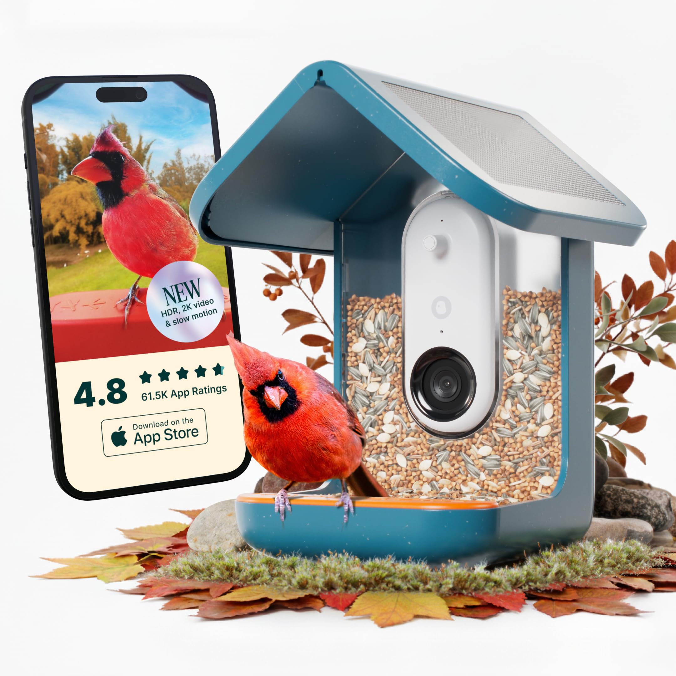 Birdbuddy PRO Solar Smart Bird Feeder with Camera - AI Bird Species Identification, 5MP Photos, 2K HD Video Live Stream Camera, Slow-Motion Video, 2.6in Focus - Blue Solar