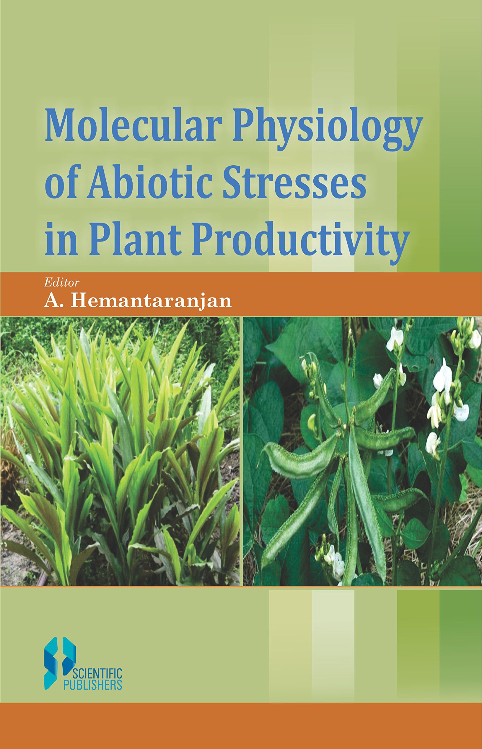 Buy Molecular Physiology of Abiotic Stresses in Plant Productivity โ BookShops.in