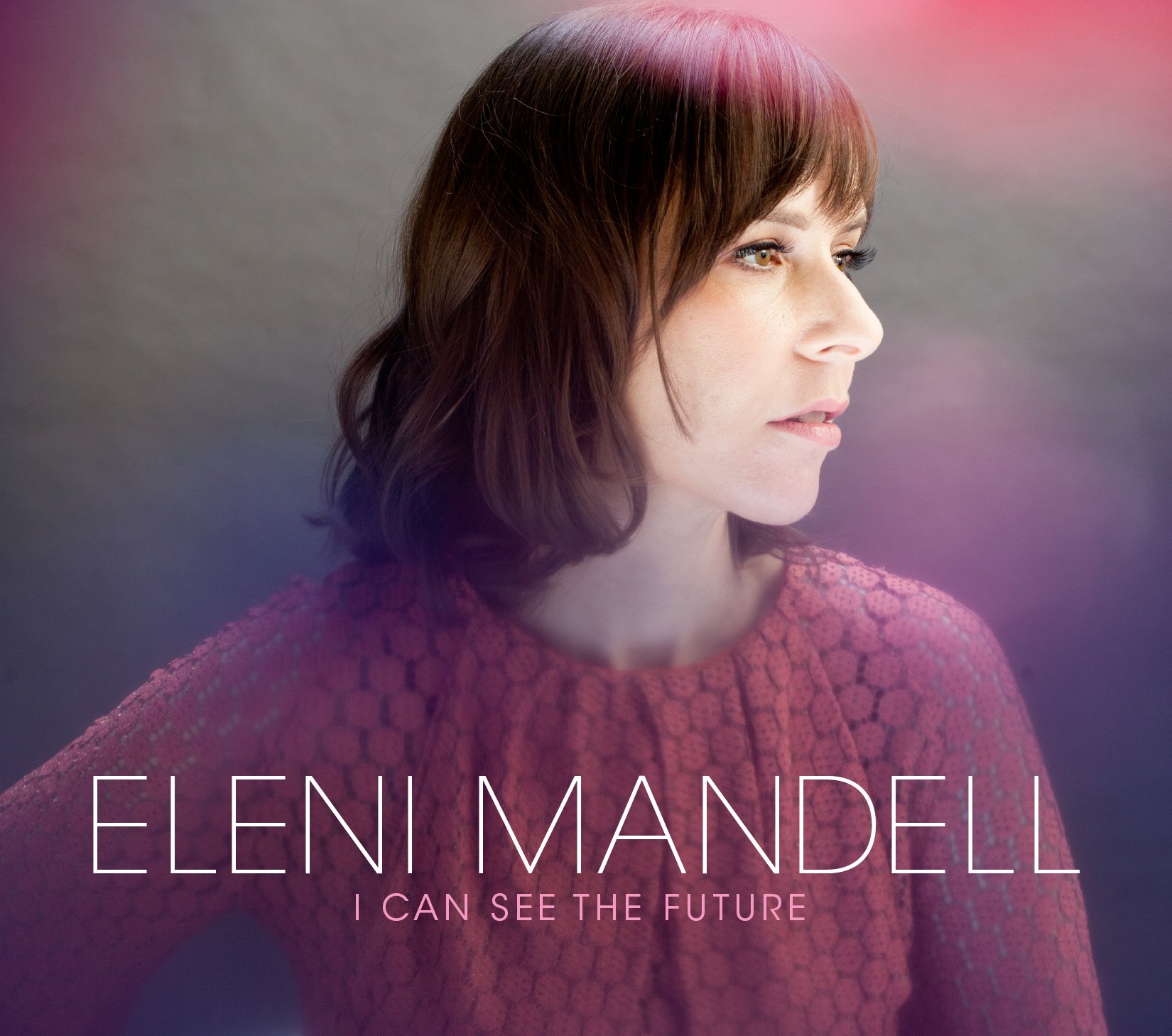 I Can See the Future by Eleni Mandell (CD, 2012)