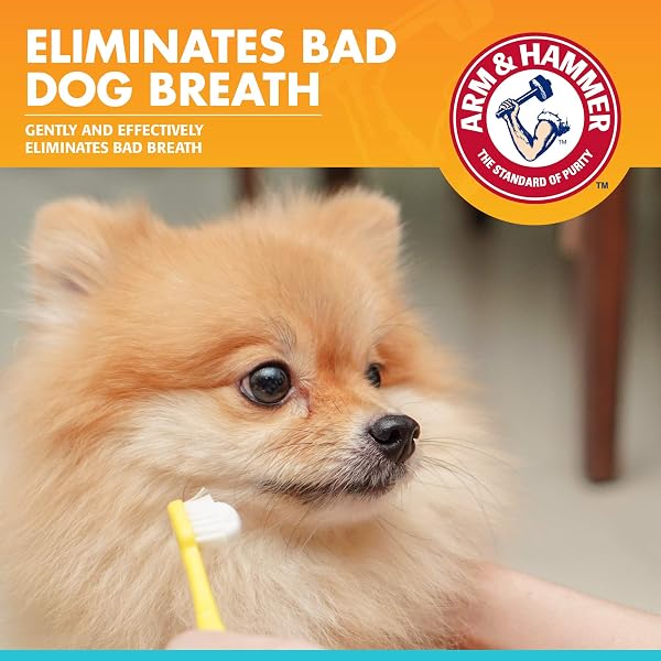 Close-up of the Arm & Hammer Dog Dental Care Fresh Breath toothpaste tube with chicken flavour.