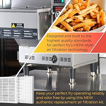 83543 2FK001 2FR00801 for Perfect Fry Filter Passive & Odor