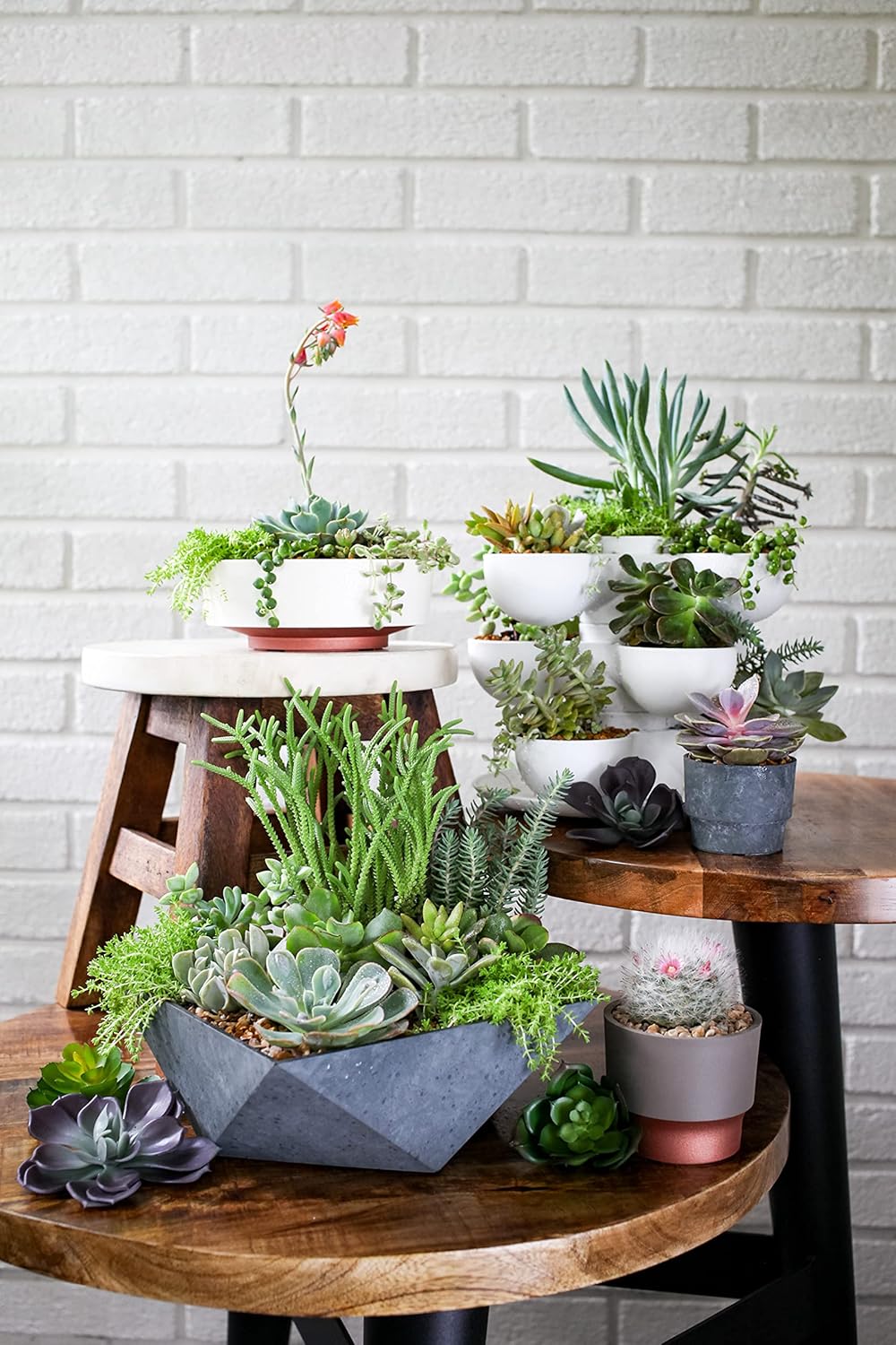 The HC Companies 8 Inch Deco Faceted Plastic Succulent Bowl - Unique Decorative Indoor Planter with Drainage Hole, Faux Concrete (Pack of 2)