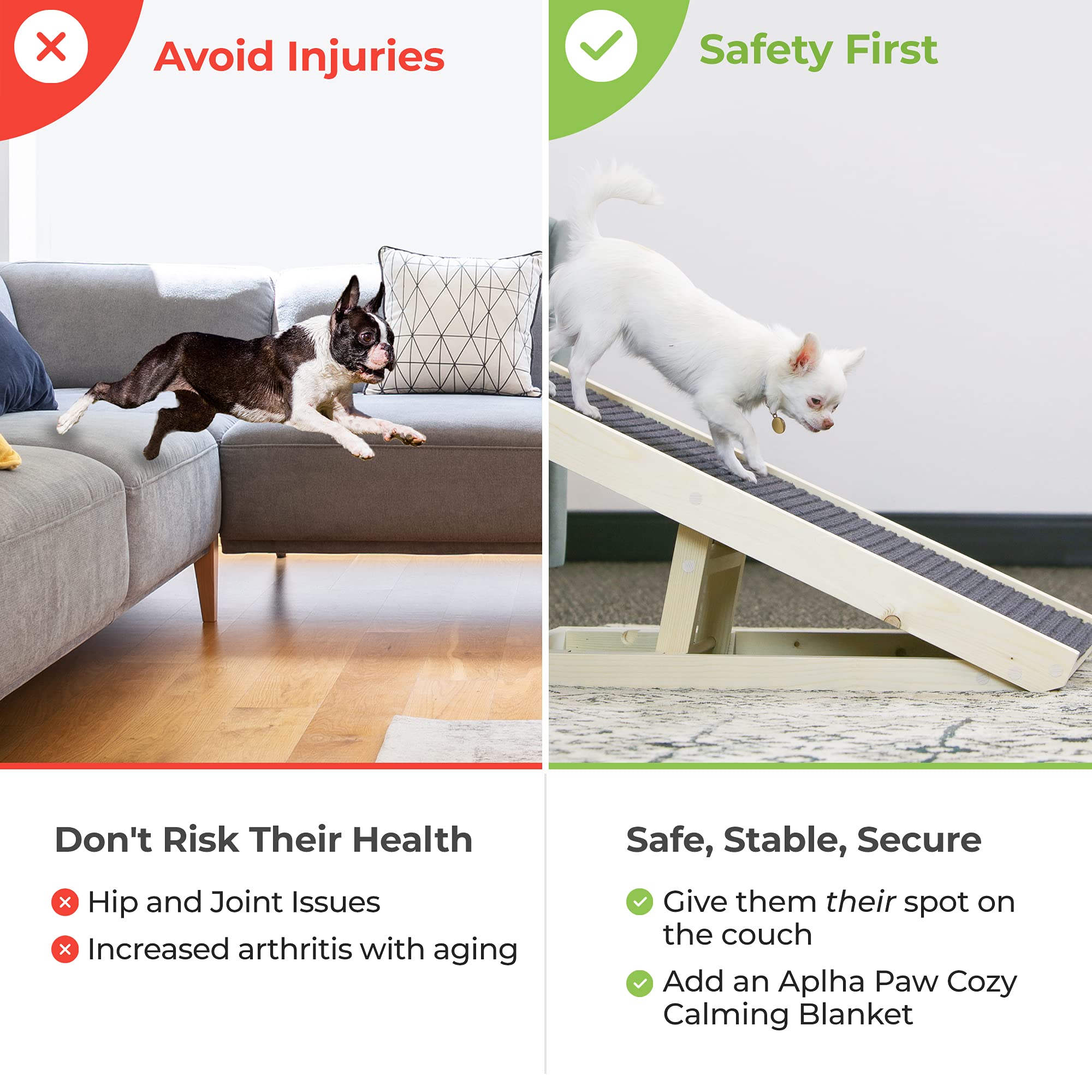 the paw ramp reviews