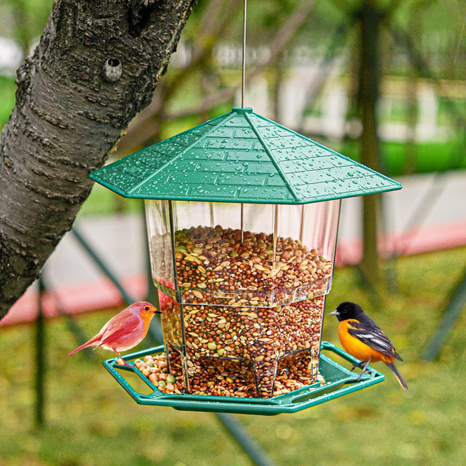 HARUKOLOO Bird Feeders for Outdoors Hanging, DoubleDeck Bird Feeder