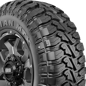 Amazon.com: Nexen Roadian MTX LT275/70R18 125/122Q E : Everything Else