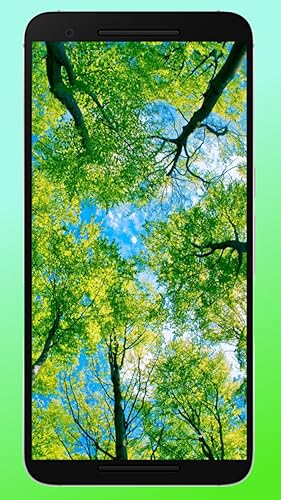 HD nature wallpapers