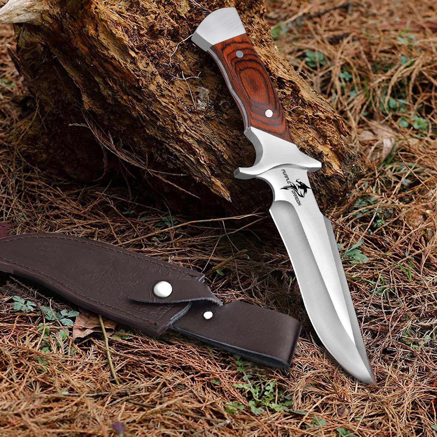 Purple Dragon Lame fixe de couteau de survie en plein air, cadeau d'extérieur pour homme
