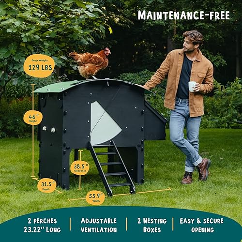 Miniatura 2 de Gallinero de plástico de 25 años de vida útil gallinero grande para 8 pollos o 15 bantams  2 perchas redondeadas para pollos y gallinas para