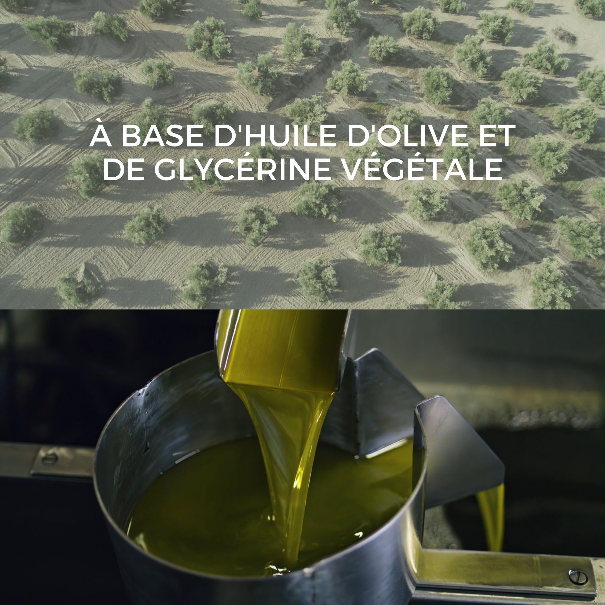 Savon Liquide Bio de Castille, Huile d'Olive, Multi-usage | Sans Parabènes/Silicones | Vegan, Écologique | Pour Peaux Sensibles, 2000 ml