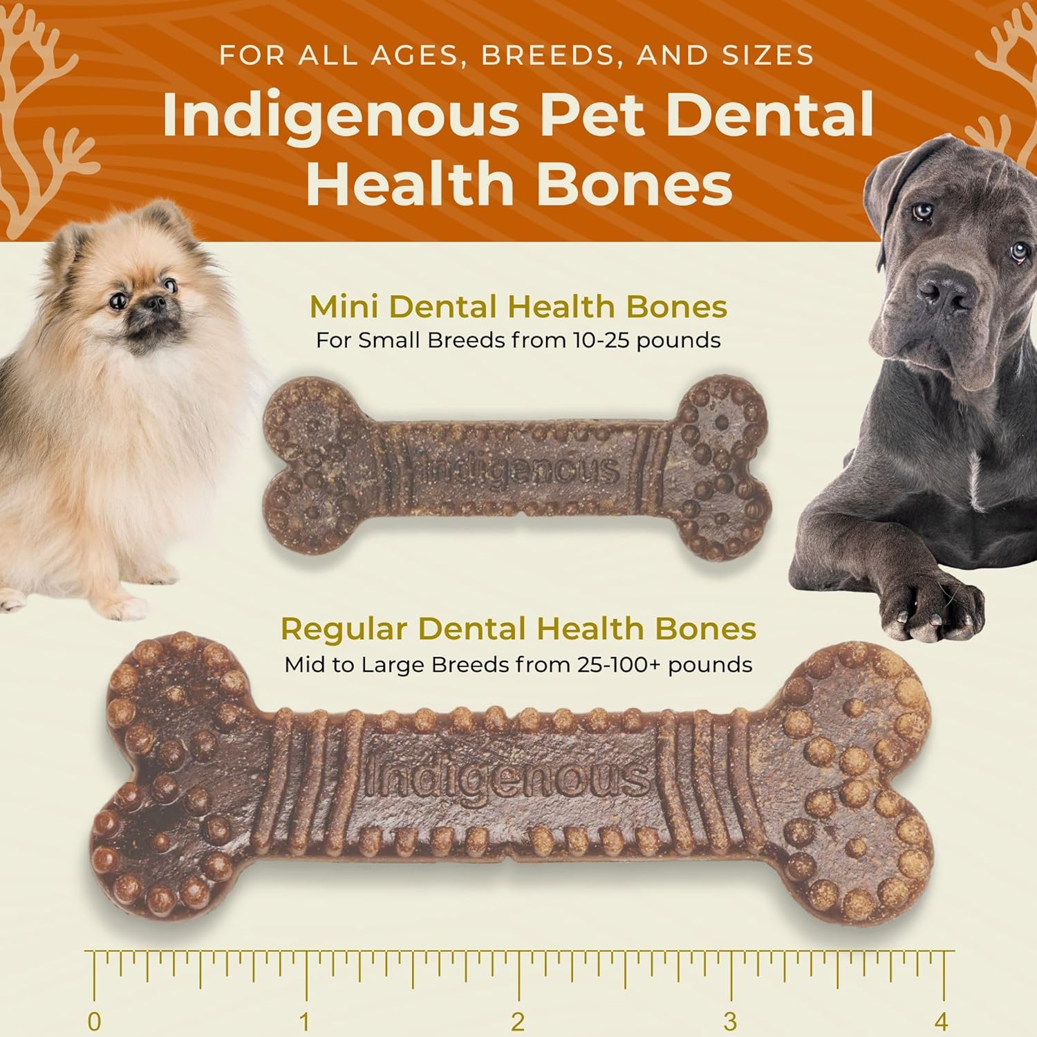 Chicken Flavor Dental Health Bone Dog Treats, 13 Count Each, Made in The USA (pack of 2).