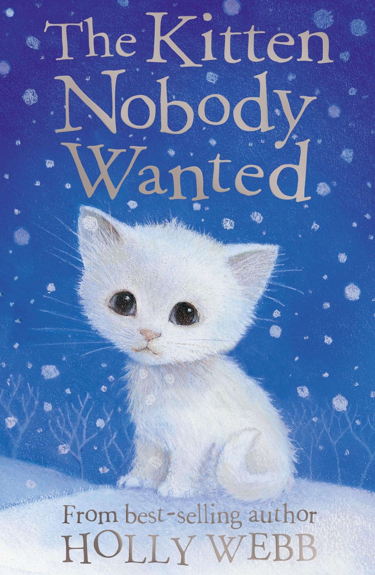 The Kitten Nobody Wanted by Holly Webb PAPERBACK 9781847151971